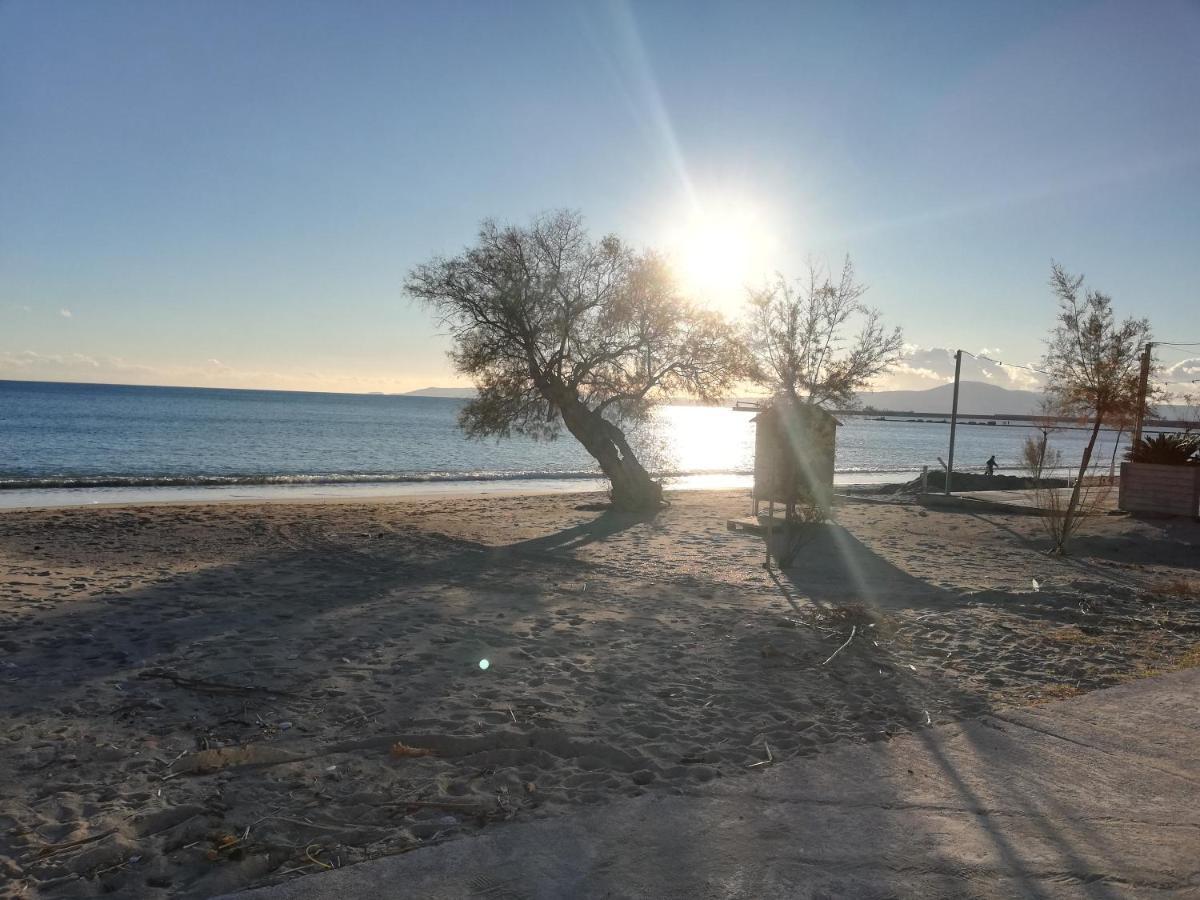 Aura Garden Apartment Faraí Εξωτερικό φωτογραφία